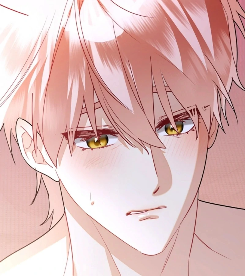 There’s no way I’d be satisfied with a rabbit husband! (Diva Scans) - Chapter 14 manhwa