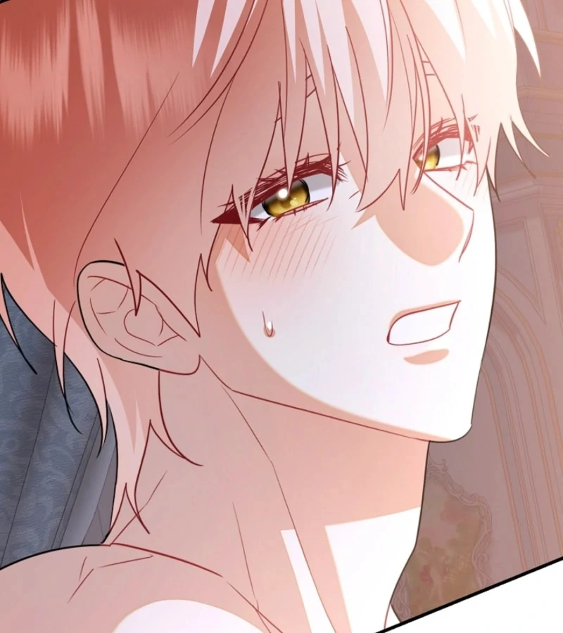 There’s no way I’d be satisfied with a rabbit husband! (Diva Scans) - Chapter 14 manhwa