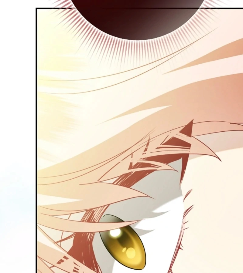 There’s no way I’d be satisfied with a rabbit husband! (Diva Scans) - Chapter 14 manhwa