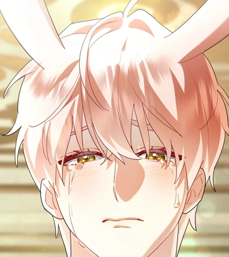 There’s no way I’d be satisfied with a rabbit husband! (Diva Scans) - Chapter 14 manhwa