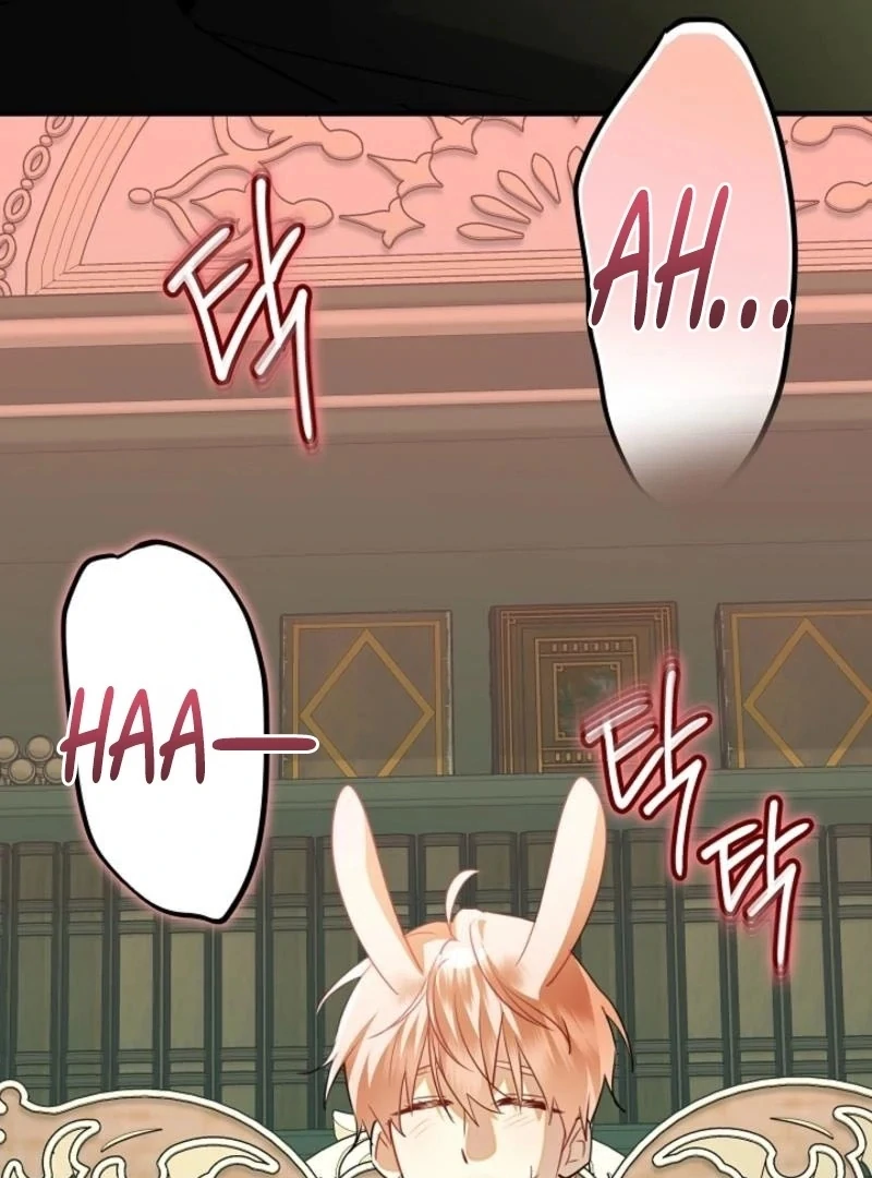 There’s no way I’d be satisfied with a rabbit husband! (Diva Scans) - Chapter 15 manhwa