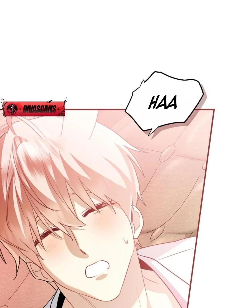 There’s no way I’d be satisfied with a rabbit husband! (Diva Scans) - Chapter 15 manhwa