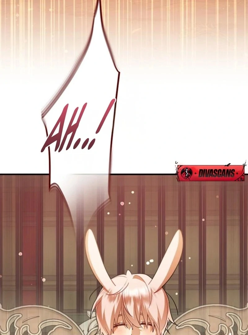 There’s no way I’d be satisfied with a rabbit husband! (Diva Scans) - Chapter 15 manhwa