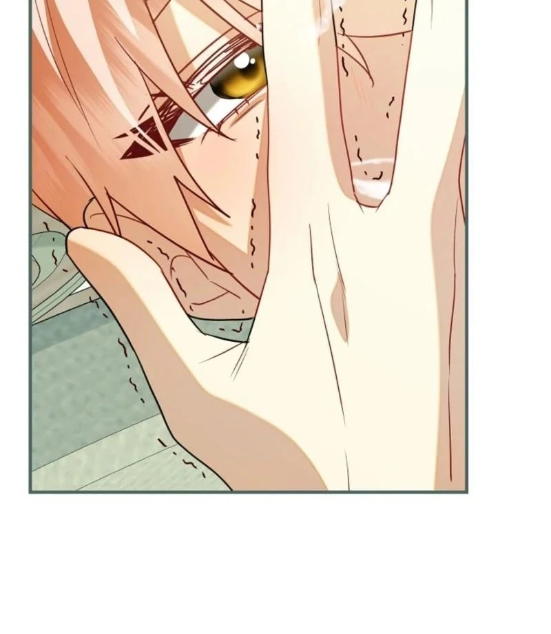 There’s no way I’d be satisfied with a rabbit husband! (Diva Scans) - Chapter 15 manhwa