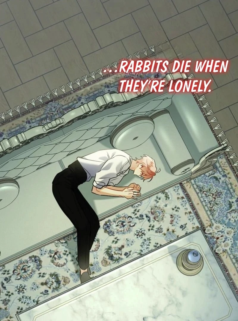 There’s no way I’d be satisfied with a rabbit husband! (Diva Scans) - Chapter 15 manhwa