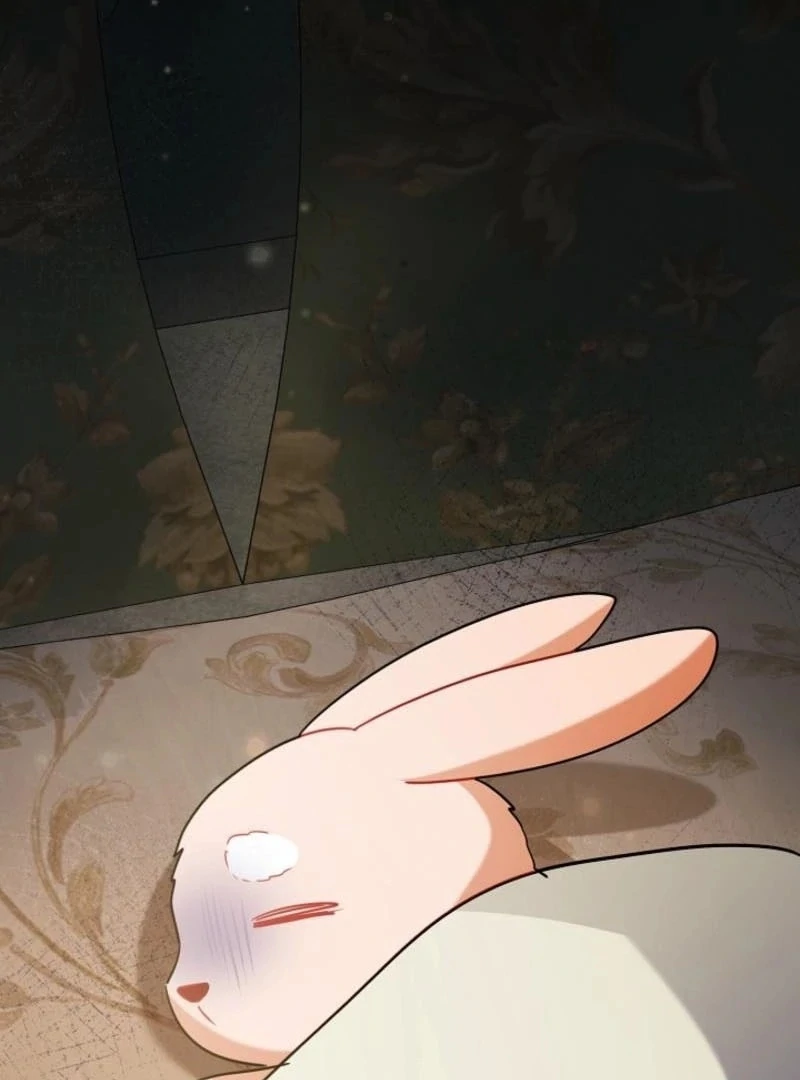 There’s no way I’d be satisfied with a rabbit husband! (Diva Scans) - Chapter 15 manhwa