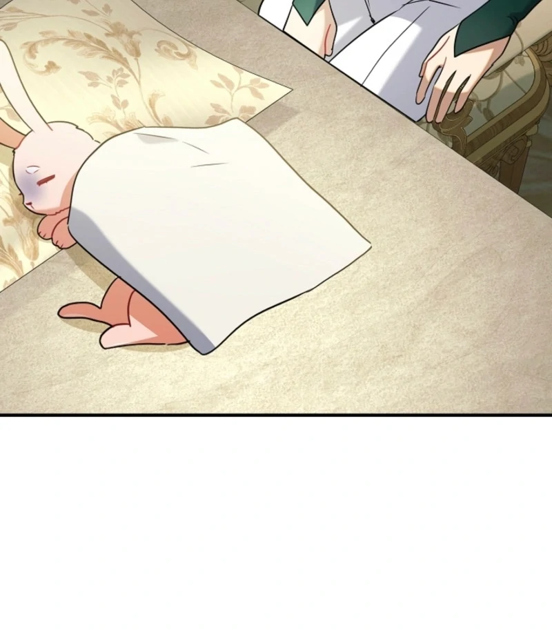 There’s no way I’d be satisfied with a rabbit husband! (Diva Scans) - Chapter 16 manhwa