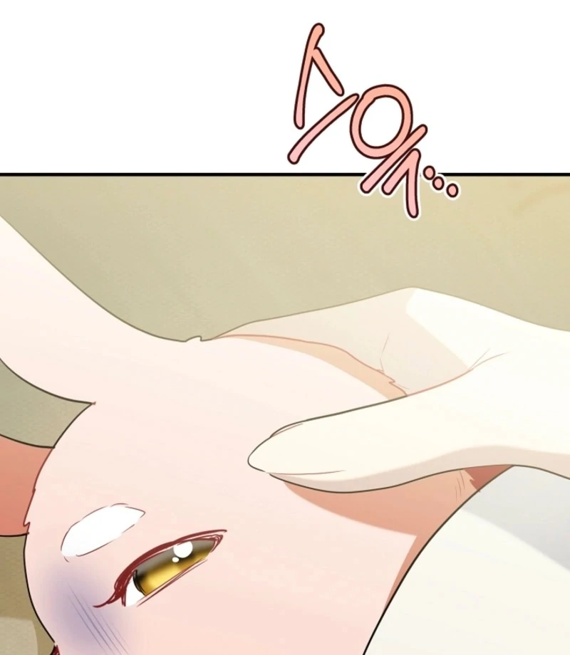 There’s no way I’d be satisfied with a rabbit husband! (Diva Scans) - Chapter 16 manhwa