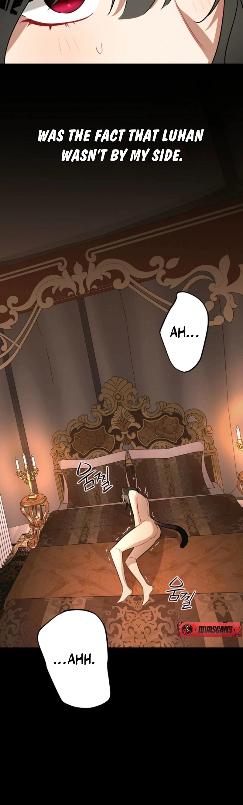 There’s no way I’d be satisfied with a rabbit husband! (Diva Scans) - Chapter 16 manhwa