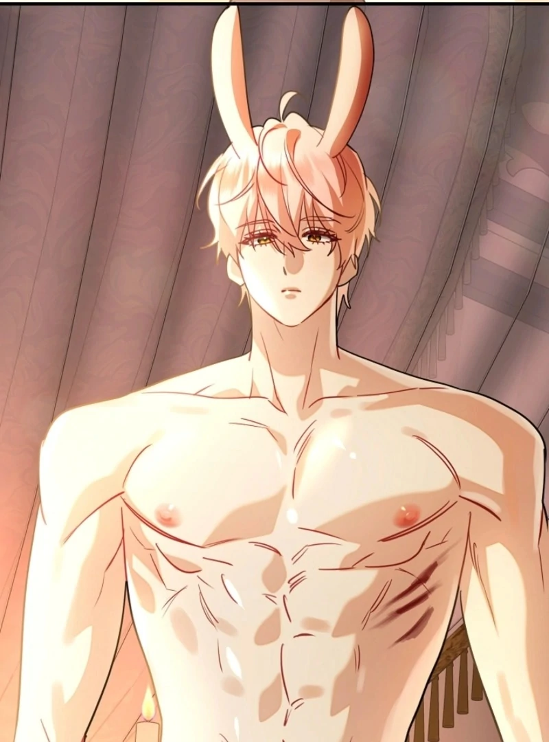 There’s no way I’d be satisfied with a rabbit husband! (Diva Scans) - Chapter 16 manhwa