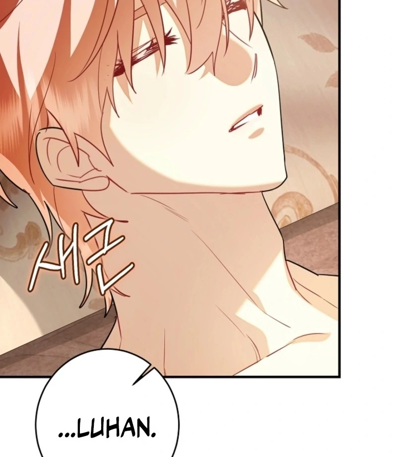 There’s no way I’d be satisfied with a rabbit husband! (Diva Scans) - Chapter 17 manhwa