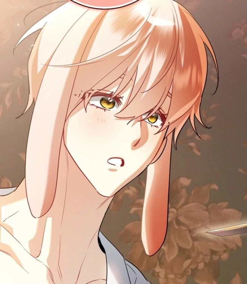 There’s no way I’d be satisfied with a rabbit husband! (Diva Scans) - Chapter 17 manhwa