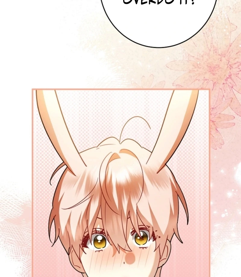 There’s no way I’d be satisfied with a rabbit husband! (Diva Scans) - Chapter 17 manhwa
