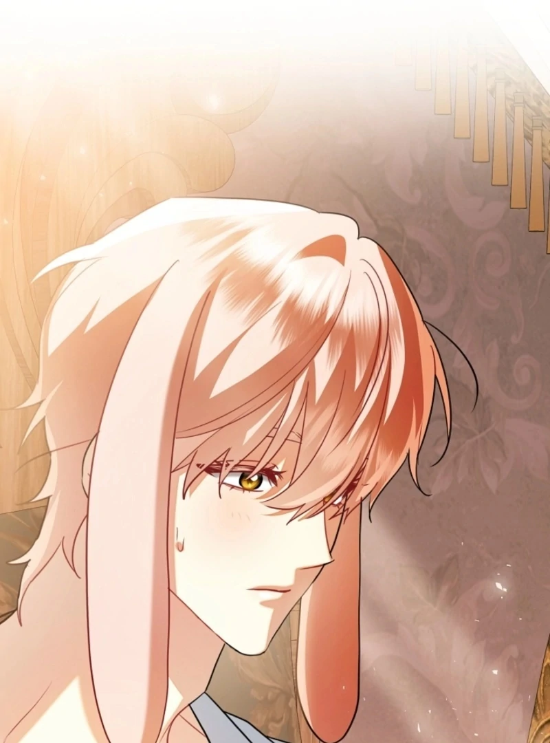 There’s no way I’d be satisfied with a rabbit husband! (Diva Scans) - Chapter 17 manhwa