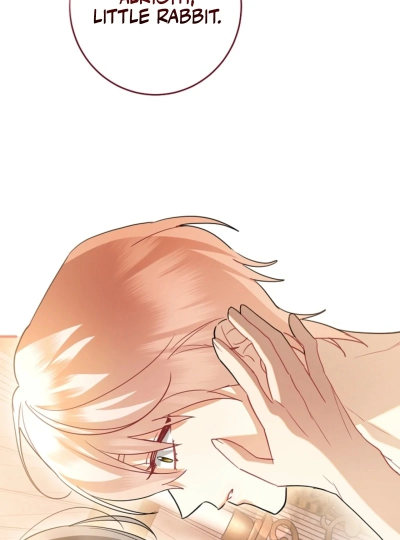 There’s no way I’d be satisfied with a rabbit husband! (Diva Scans) - Chapter 17 manhwa