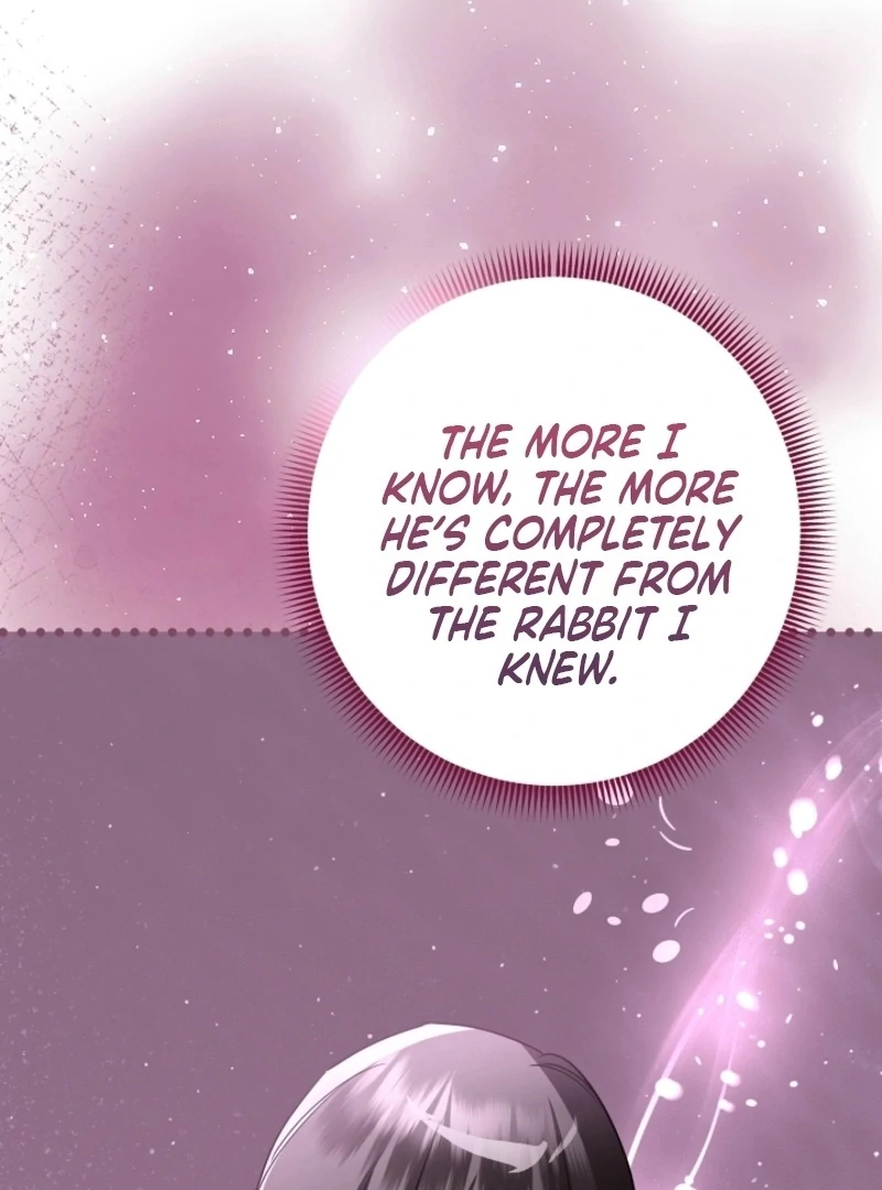 There’s no way I’d be satisfied with a rabbit husband! (Diva Scans) - Chapter 17 manhwa