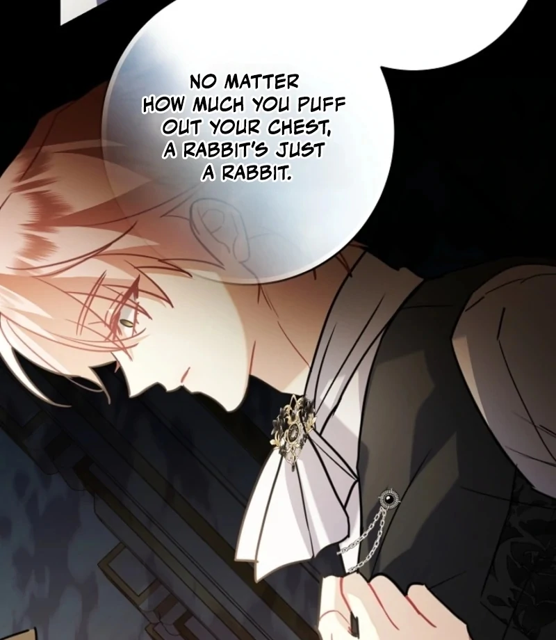 There’s no way I’d be satisfied with a rabbit husband! (Diva Scans) - Chapter 19 manhwa