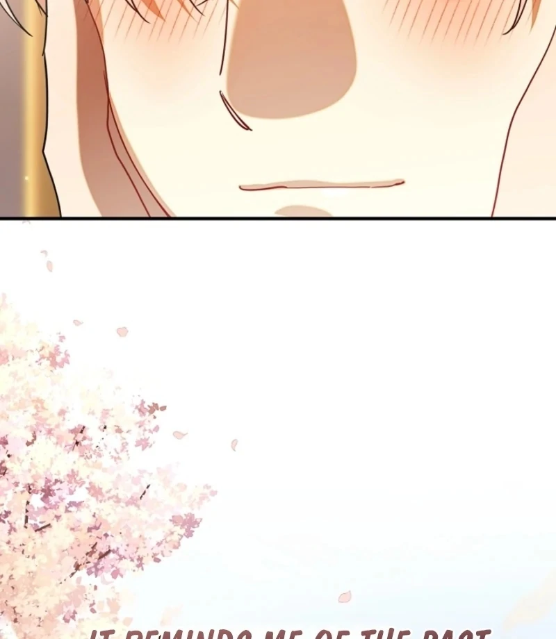 There’s no way I’d be satisfied with a rabbit husband! (Diva Scans) - Chapter 19 manhwa