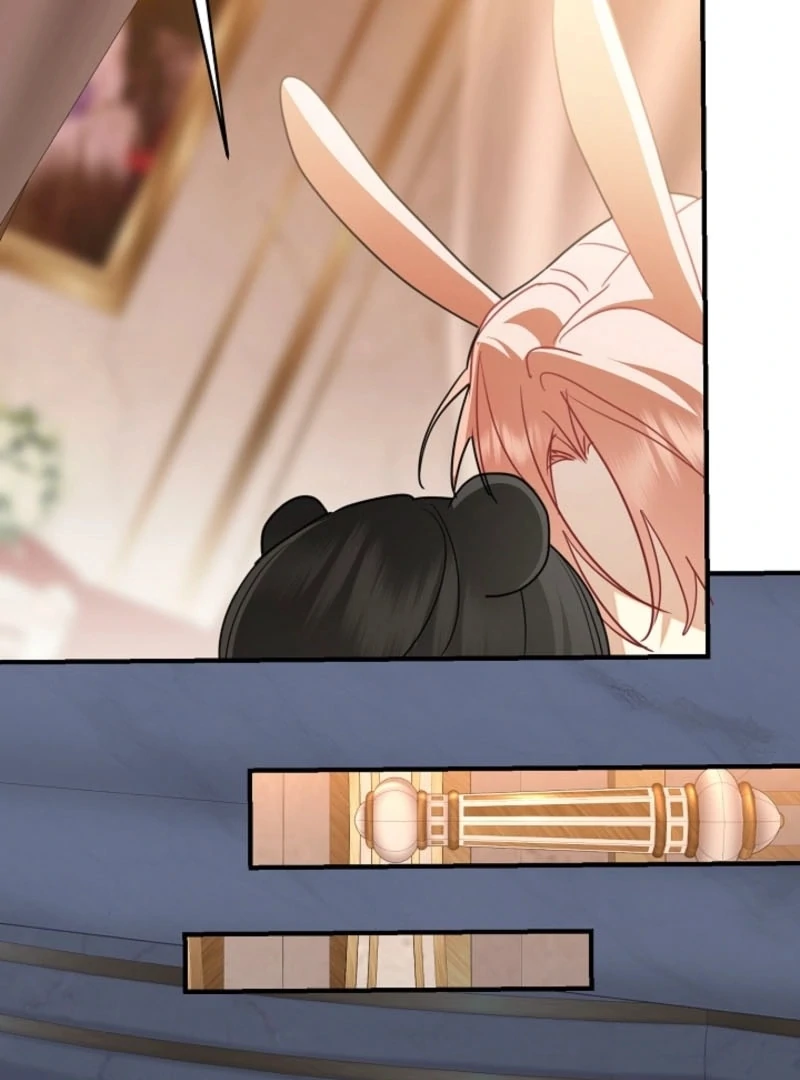 There’s no way I’d be satisfied with a rabbit husband! (Diva Scans) - Chapter 20 manhwa