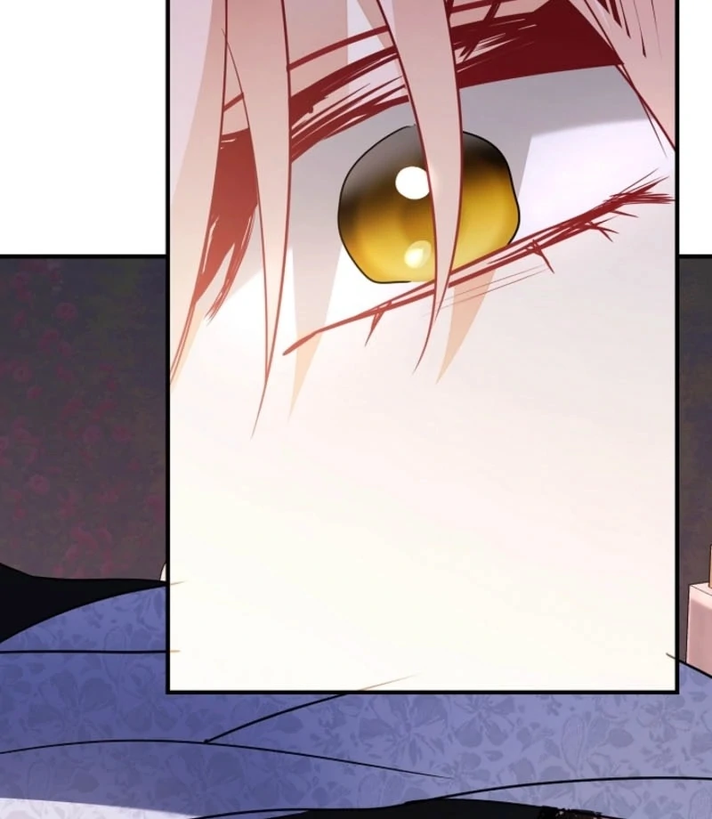 There’s no way I’d be satisfied with a rabbit husband! (Diva Scans) - Chapter 20 manhwa