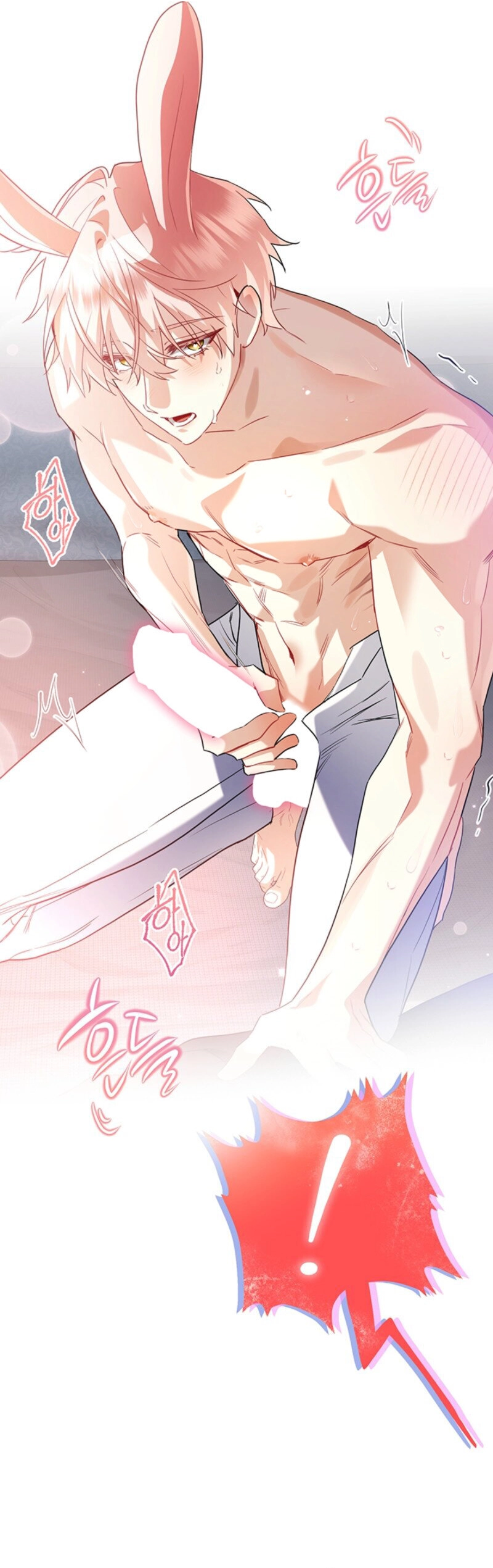 There’s no way I’d be satisfied with a rabbit husband! (Diva Scans) - Chapter 4 manhwa