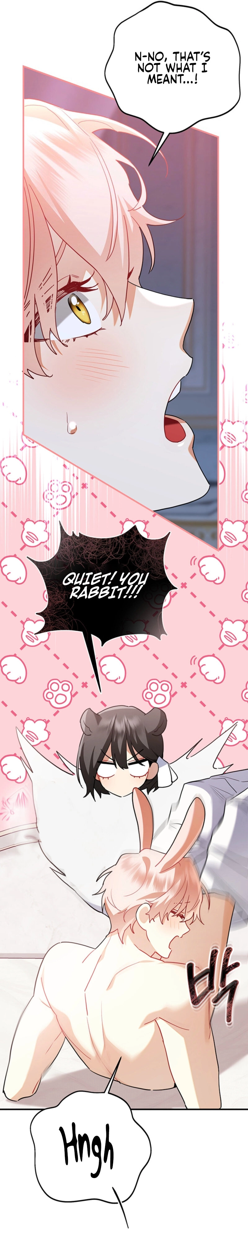 There’s no way I’d be satisfied with a rabbit husband! (Diva Scans) - Chapter 5 manhwa