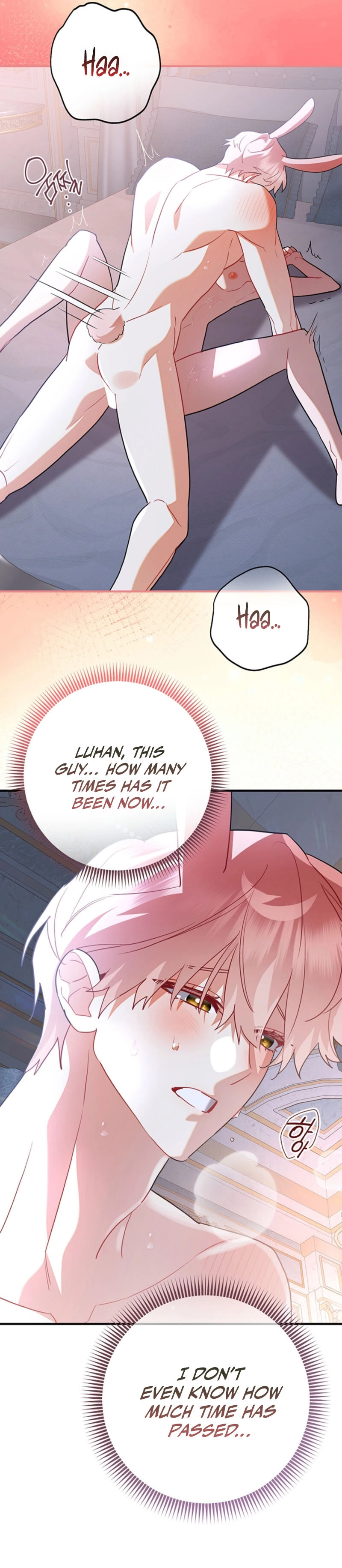 There’s no way I’d be satisfied with a rabbit husband! (Diva Scans) - Chapter 6 manhwa