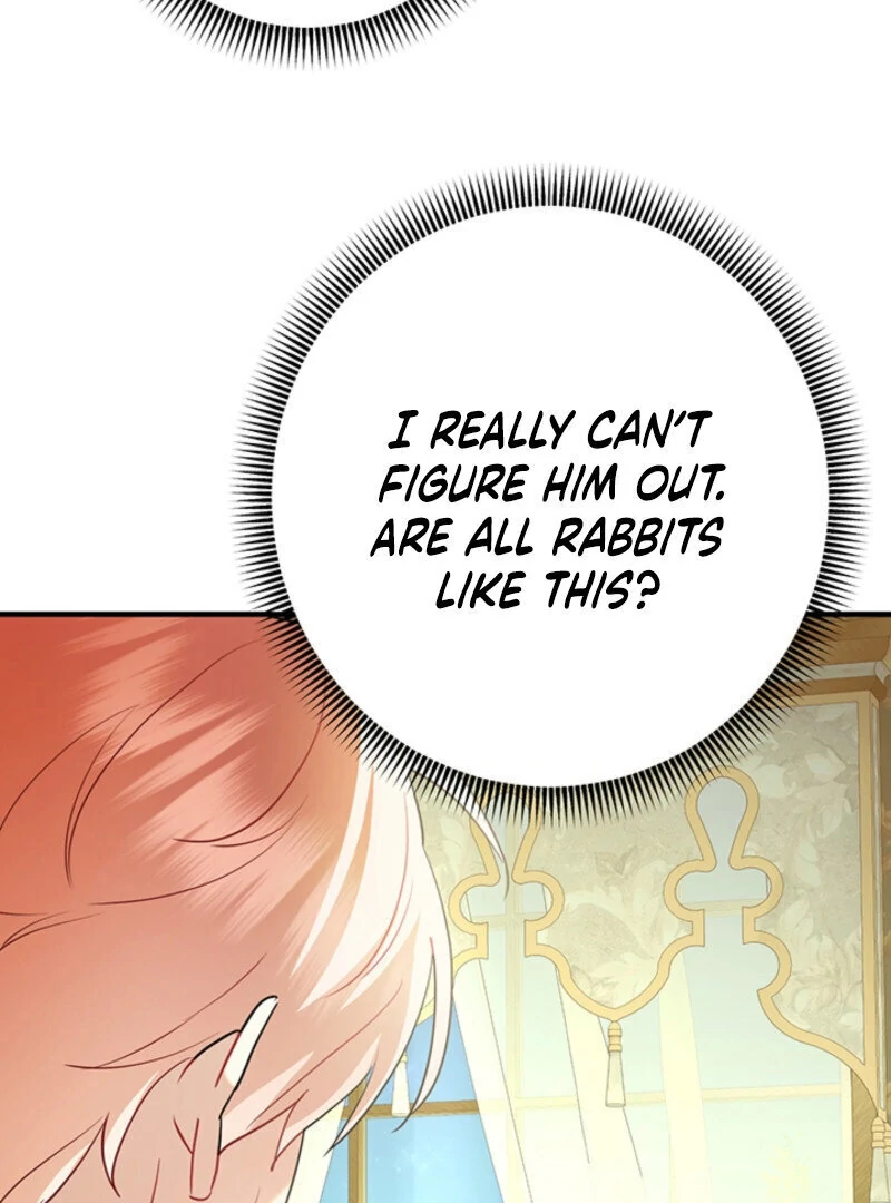 There’s no way I’d be satisfied with a rabbit husband! (Diva Scans) - Chapter 9 manhwa
