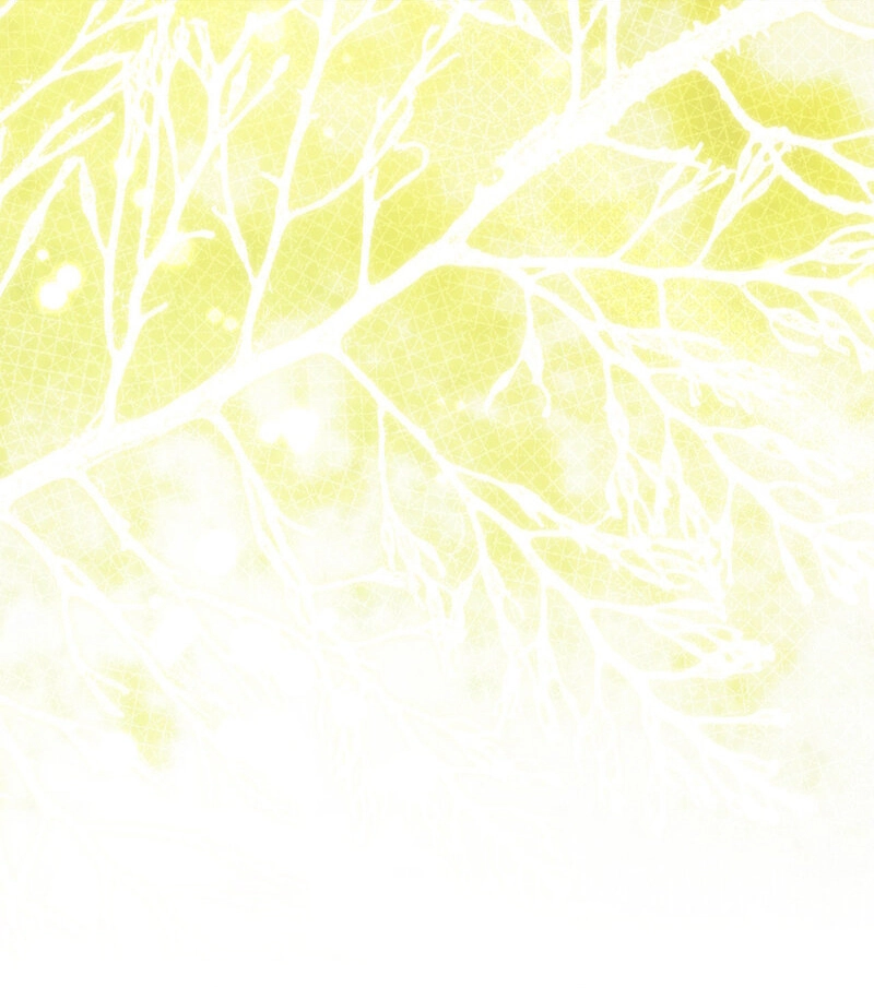 Three Months of Summer (Diva Scans) - Chapter 29 manhwa
