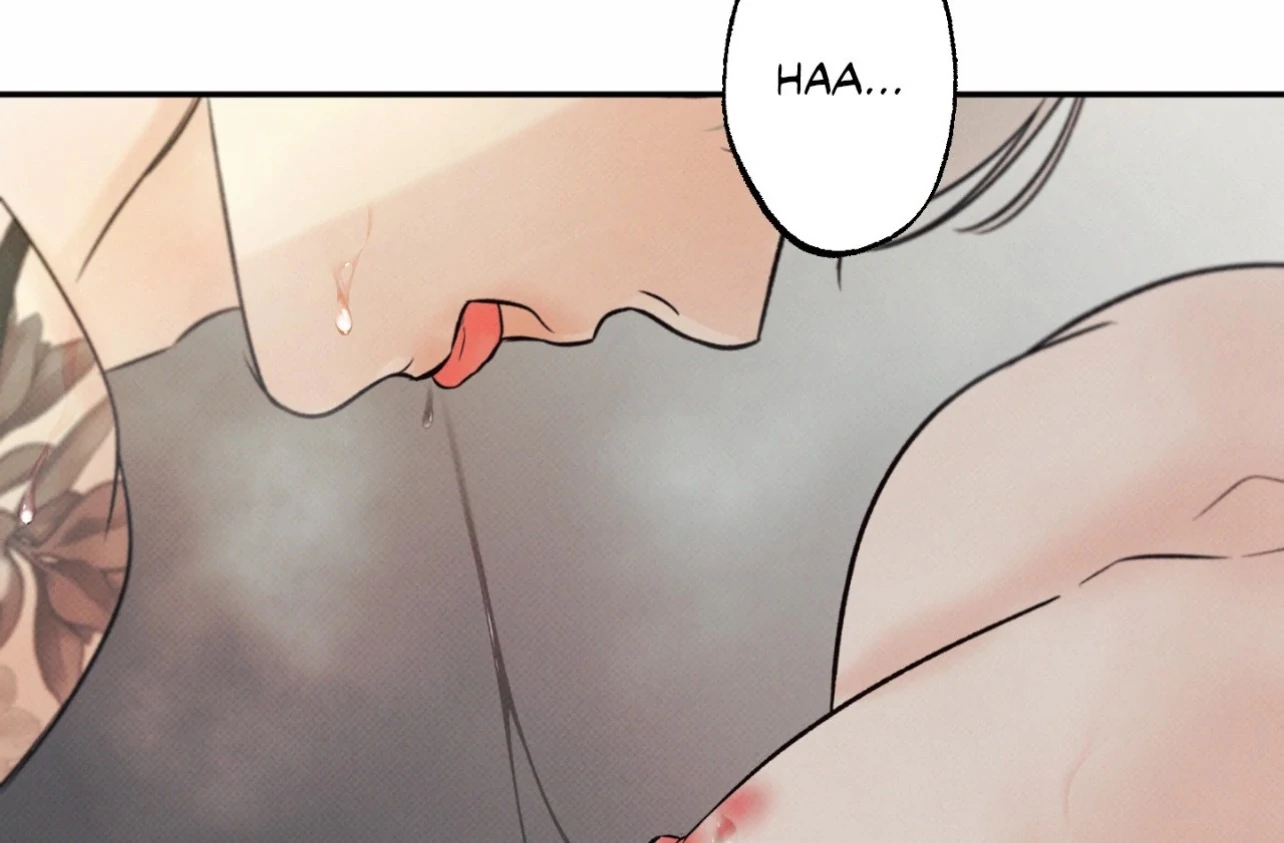 Borderline [Official Uncensored] - Chapter 14 manhwa