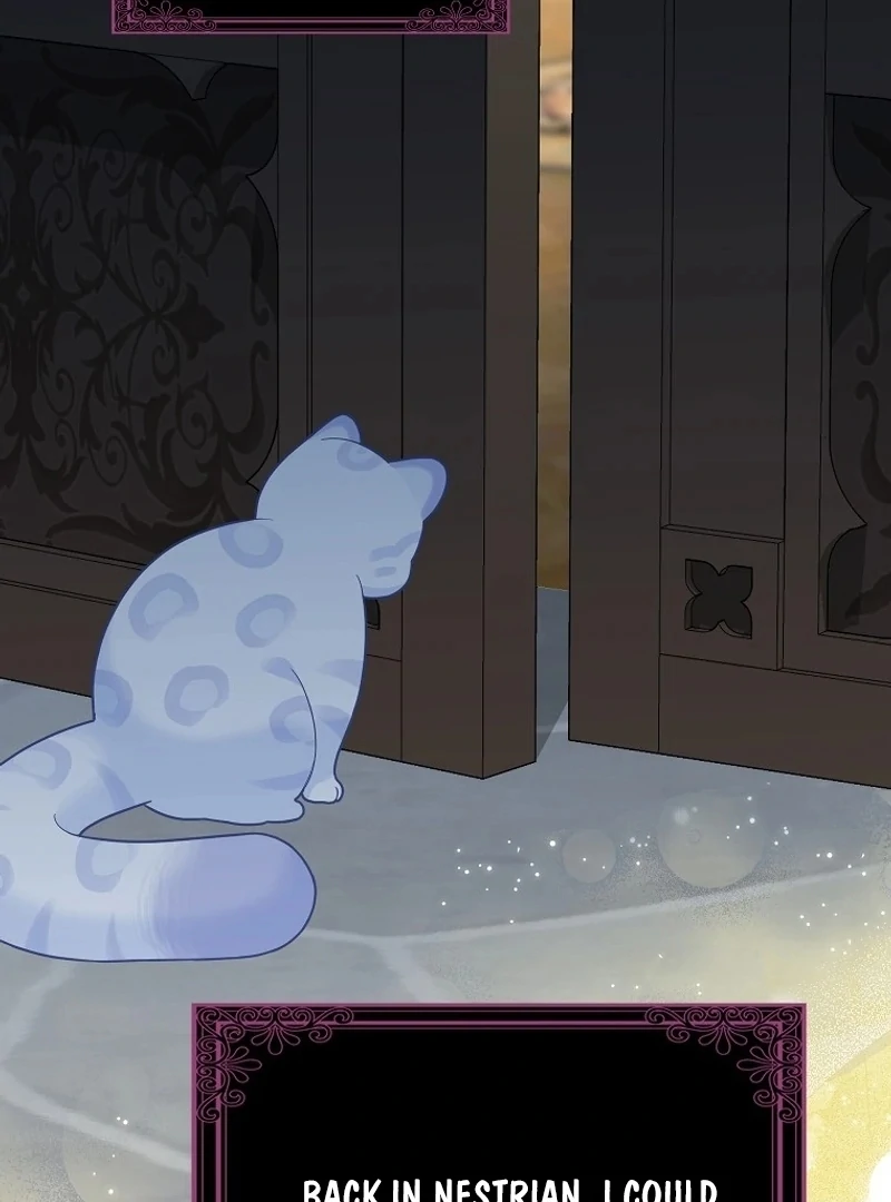 The Snow Leopard Baby of the Black Leopard Family [Lua Comic] - Chapter 13 manhwa