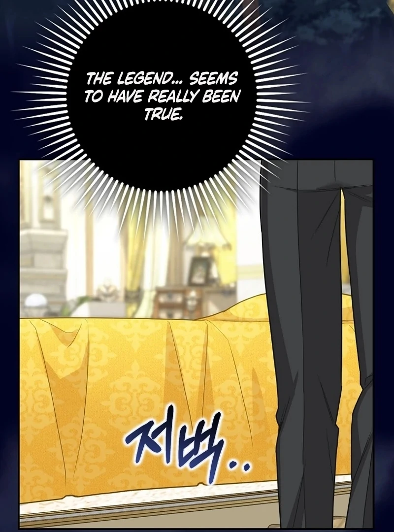 The Snow Leopard Baby of the Black Leopard Family [Lua Comic] - Chapter 14 manhwa