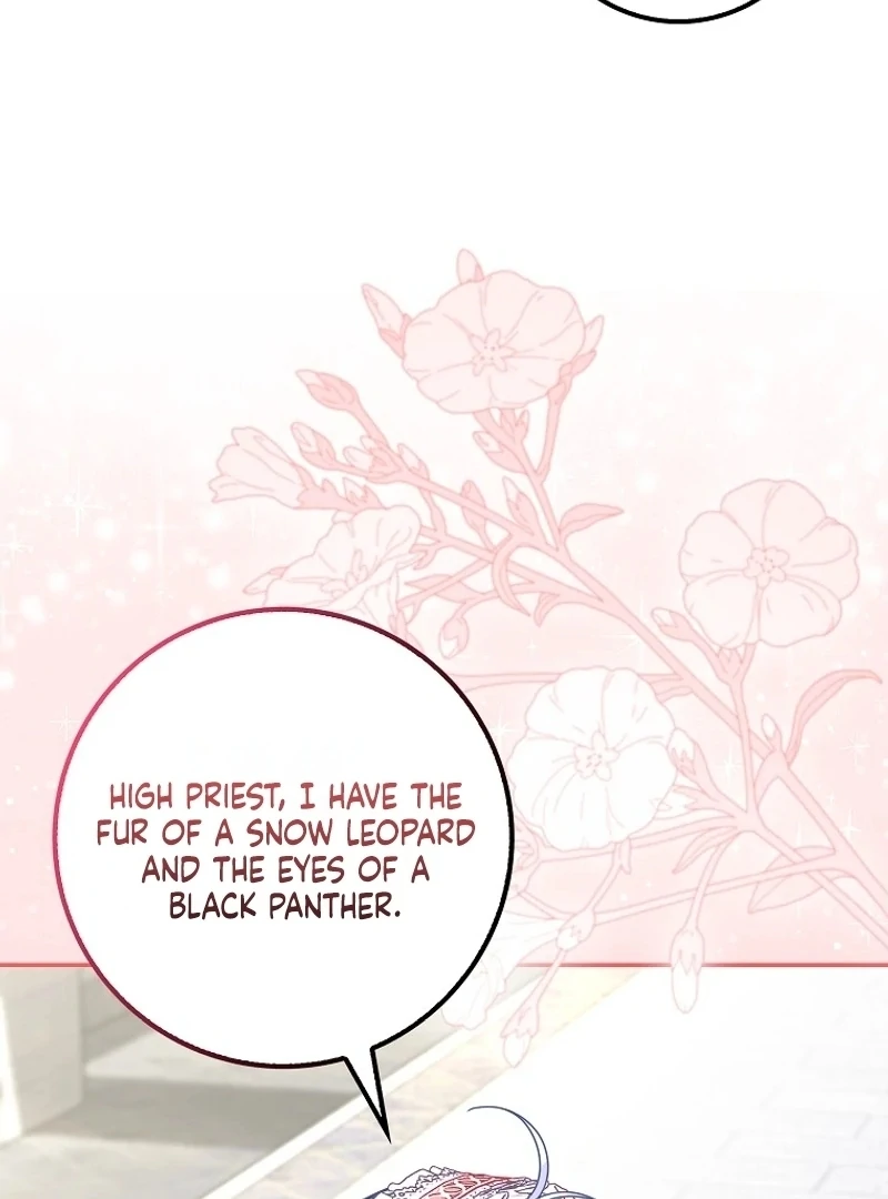 The Snow Leopard Baby of the Black Leopard Family [Lua Comic] - Chapter 17 manhwa