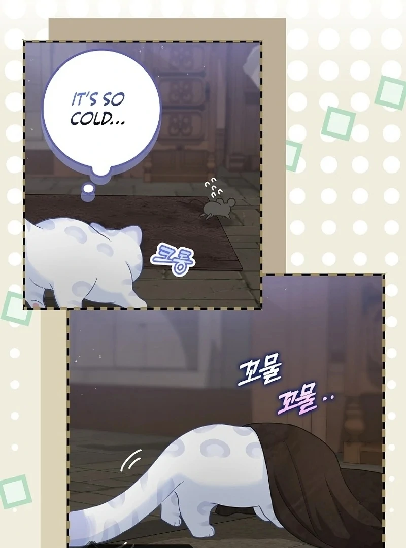 The Snow Leopard Baby of the Black Leopard Family [Lua Comic] - Chapter 2 manhwa