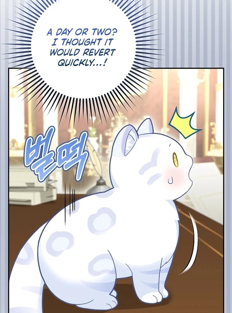 The Snow Leopard Baby of the Black Leopard Family [Lua Comic] - Chapter 21 manhwa