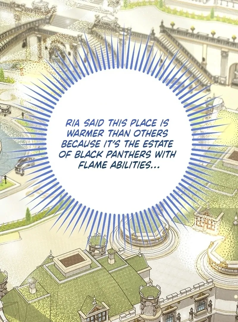 The Snow Leopard Baby of the Black Leopard Family [Lua Comic] - Chapter 21 manhwa