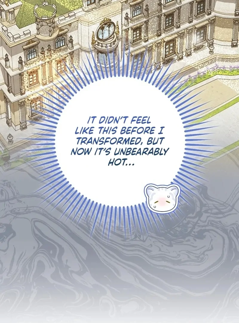 The Snow Leopard Baby of the Black Leopard Family [Lua Comic] - Chapter 21 manhwa