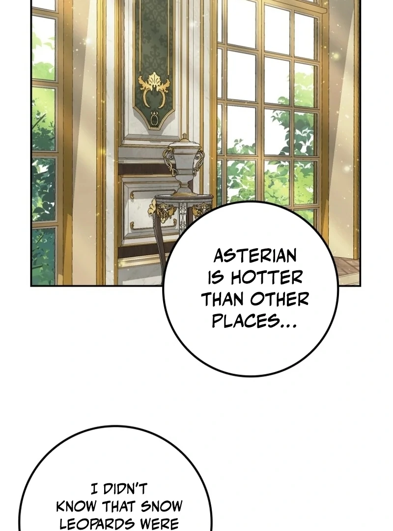 The Snow Leopard Baby of the Black Leopard Family [Lua Comic] - Chapter 22 manhwa