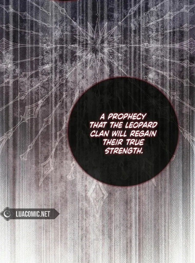 The Snow Leopard Baby of the Black Leopard Family [Lua Comic] - Chapter 24 manhwa
