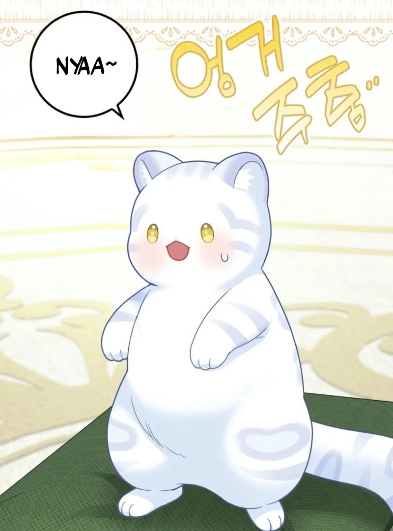 The Snow Leopard Baby of the Black Leopard Family [Lua Comic] - Chapter 27 manhwa