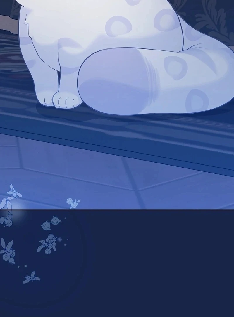 The Snow Leopard Baby of the Black Leopard Family [Lua Comic] - Chapter 3 manhwa