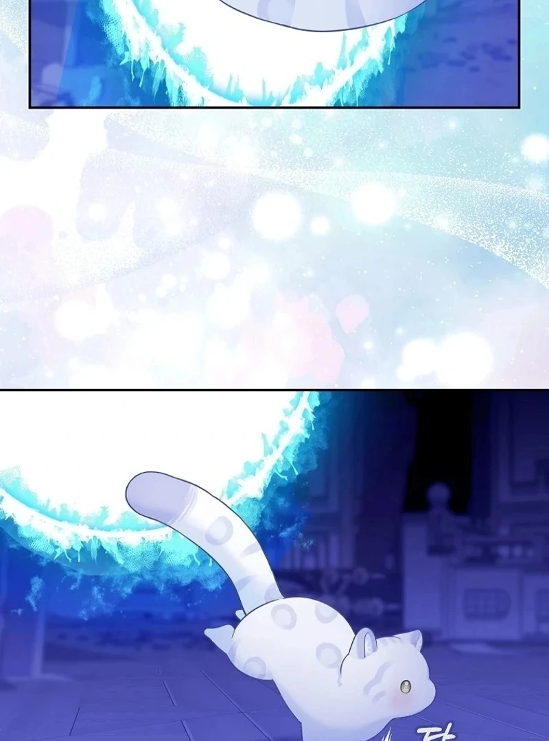 The Snow Leopard Baby of the Black Leopard Family [Lua Comic] - Chapter 3 manhwa