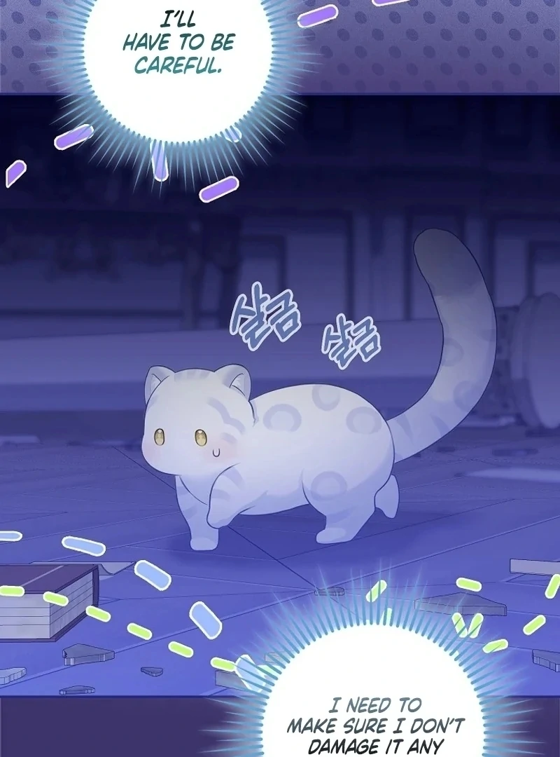 The Snow Leopard Baby of the Black Leopard Family [Lua Comic] - Chapter 3 manhwa