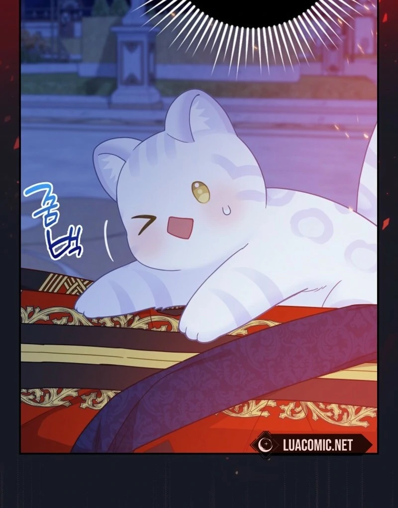 The Snow Leopard Baby of the Black Leopard Family [Lua Comic] - Chapter 40 manhwa