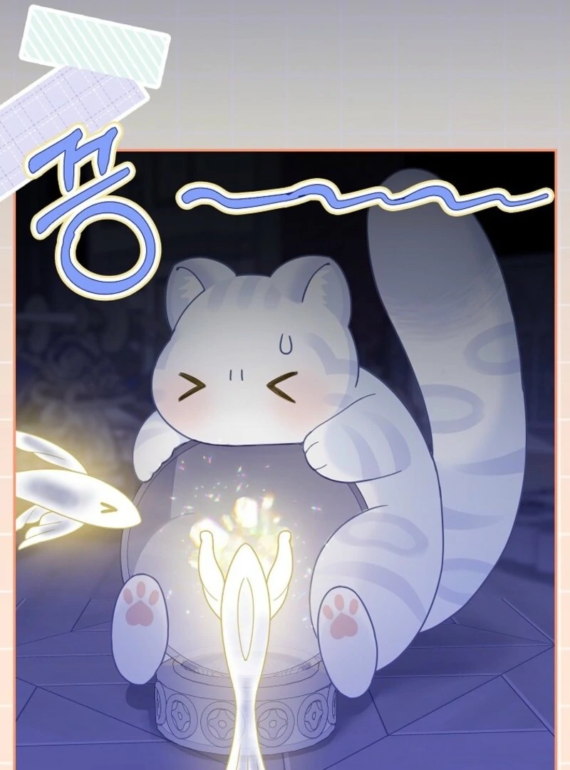 The Snow Leopard Baby of the Black Leopard Family [Lua Comic] - Chapter 40 manhwa