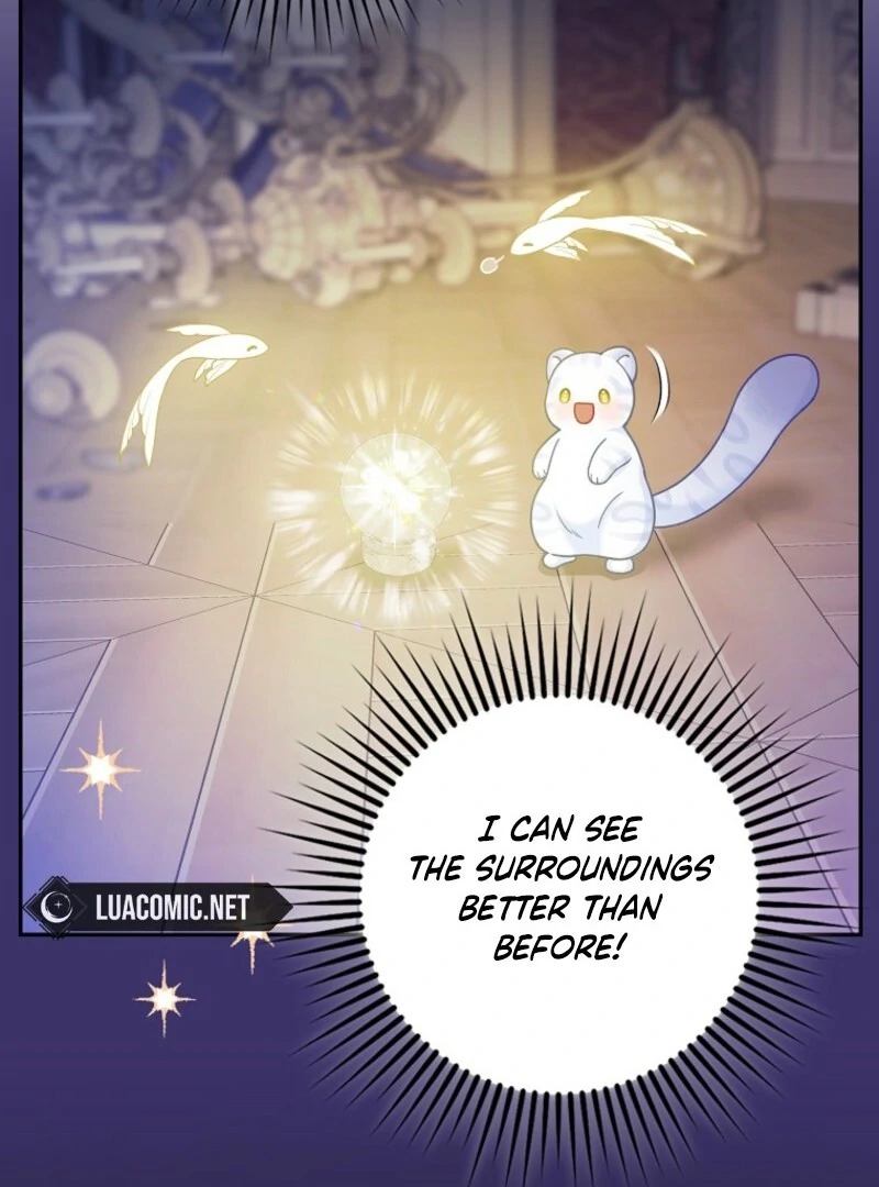 The Snow Leopard Baby of the Black Leopard Family [Lua Comic] - Chapter 40 manhwa