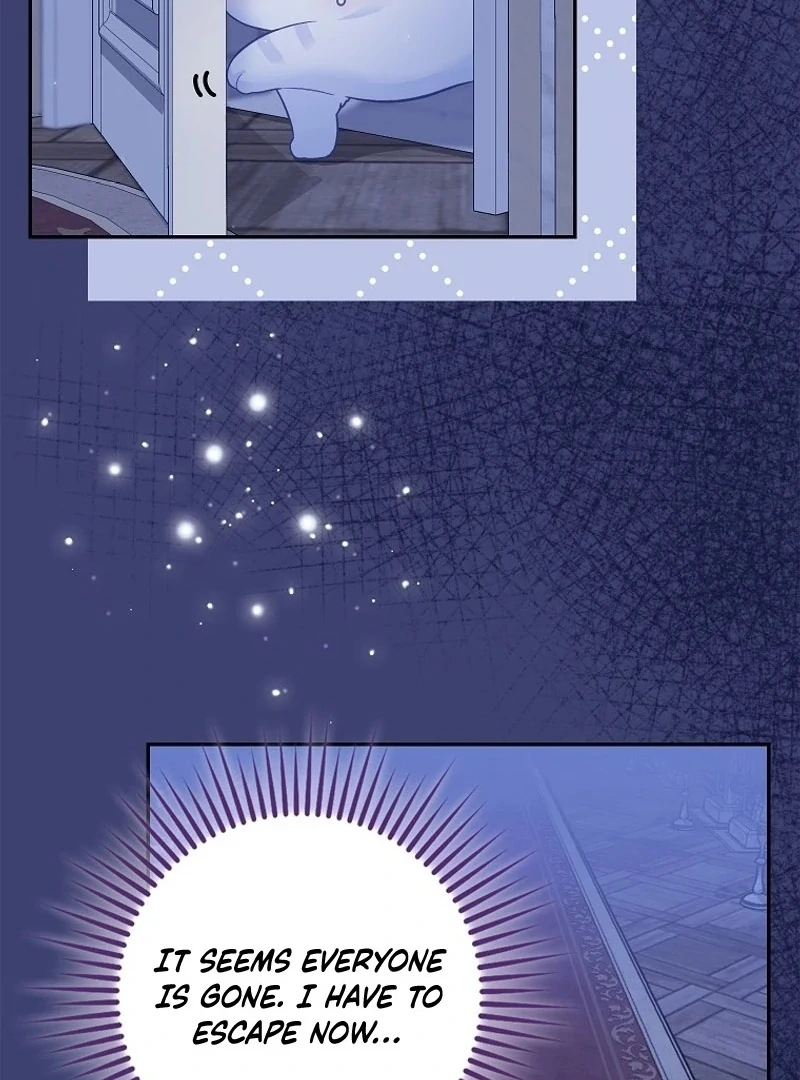 The Snow Leopard Baby of the Black Leopard Family [Lua Comic] - Chapter 6 manhwa