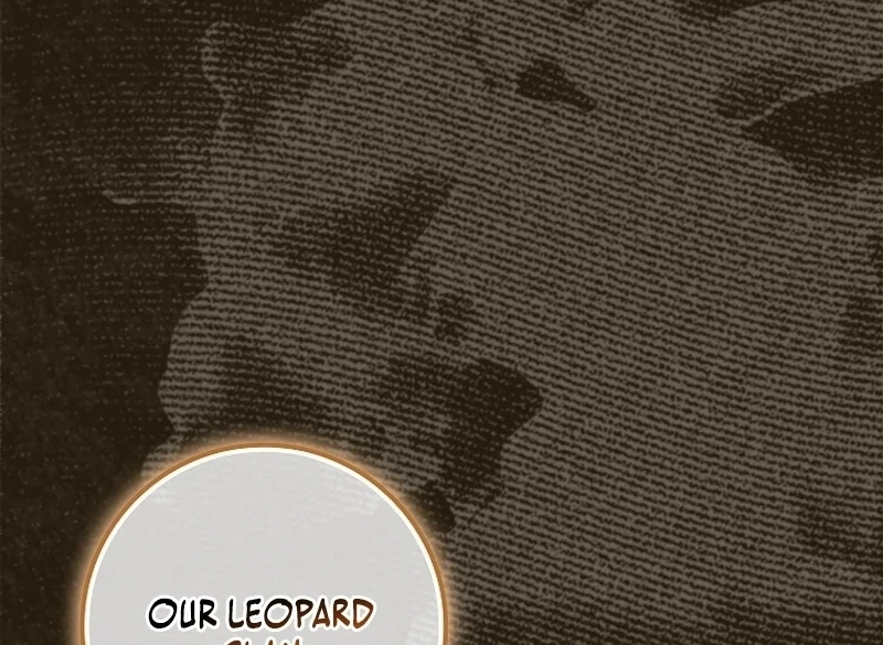 The Snow Leopard Baby of the Black Leopard Family [Lua Comic] - Chapter 8 manhwa