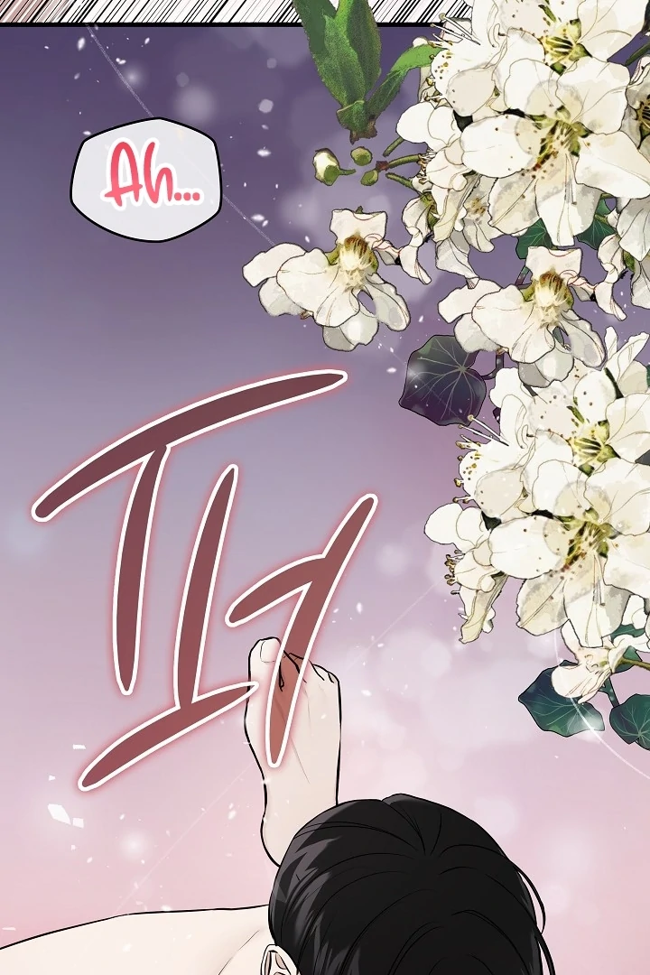 The Contract Marriage Night [+19] [Luna Toons] - Chapter 01 - S1 manhwa
