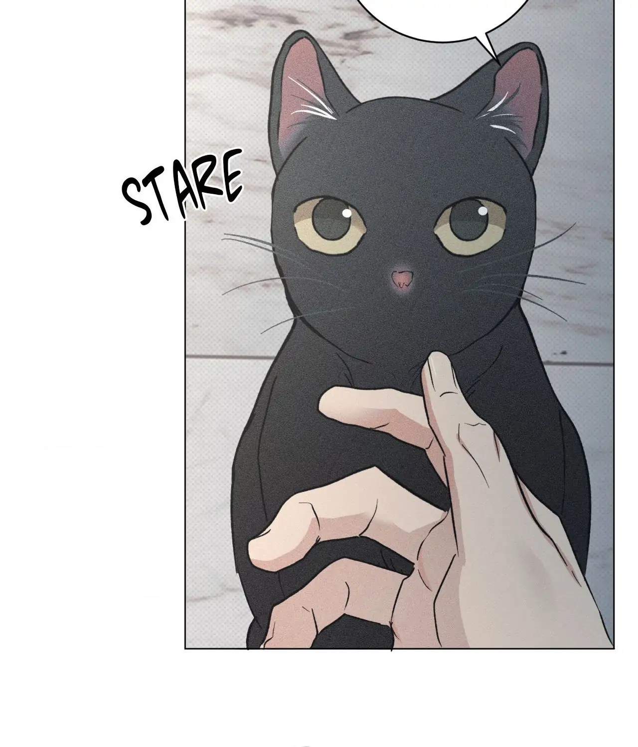 Fated But Flawed - Chapter 14 manhwa